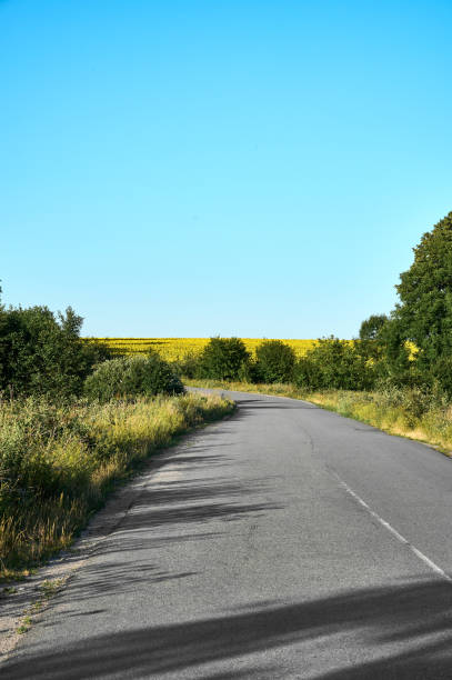 istock Beautiful rural landscape along the road. 1413441355