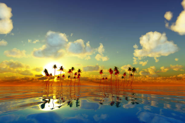 coconut palms at yellow sunset over tropic sea