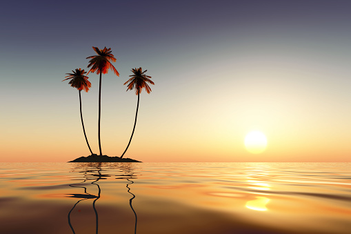 three palms on coconut island at sunrise