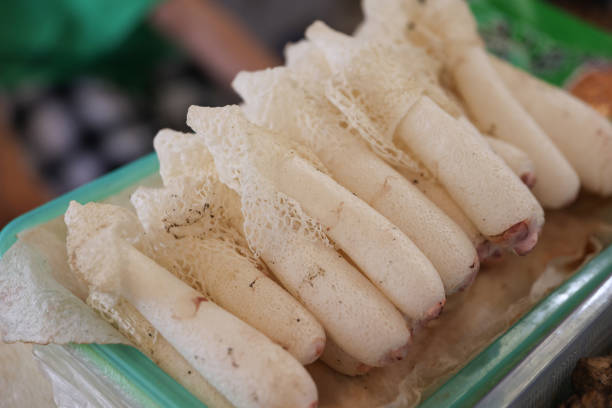 istock Wild mushrooms in Yunnan 1413445392