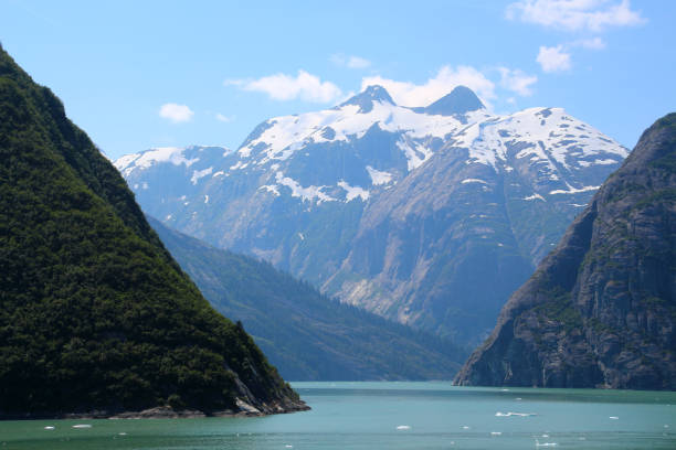 istock Alaska, mountain landscape in the Stephens Passage 1413445530