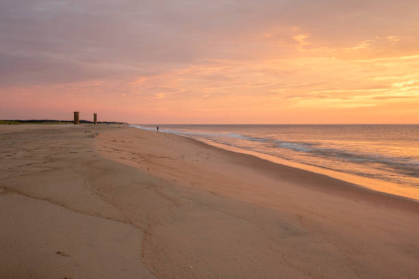 istock Beach at Cape Henlopen State Park beach with World War II towers 1413445766