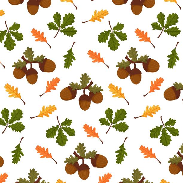 illustrazioni stock, clip art, cartoni animati e icone di tendenza di modello autunnale. sfondo senza cuciture con elementi autunnali, fogliame, ghiande, foglie autunnali. illustrazione vettoriale stile cartone animato. - acorn oak oak tree leaf