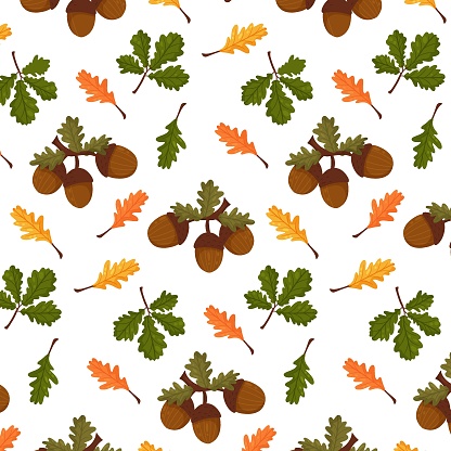 Autumn pattern. Seamless background with autumn elements, foliage, acorns, autumn leaves. Vector illustration cartoon style.