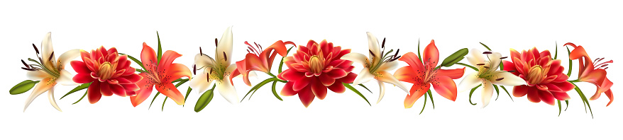 Lily. Dahlia. Floral background. Leaves. Red. White. Buds. Horizontal pattern. Isolated. Stem.