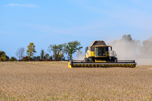 Modern combine harvester in a wheat field on a clear autumn day. Wolfe Island, On, Canada.