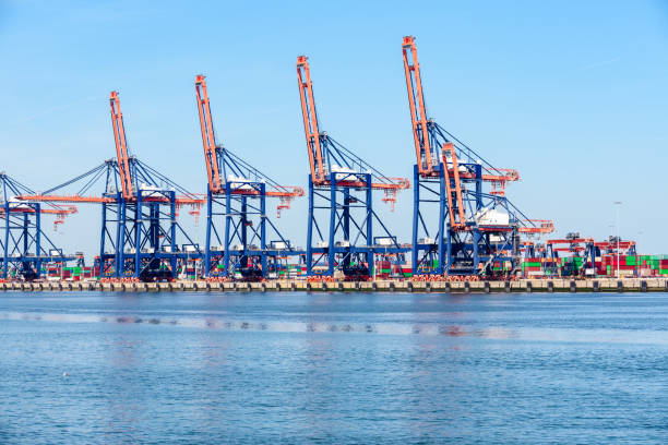 istock View of container dock equipped with tall gantry cranes 1413450099