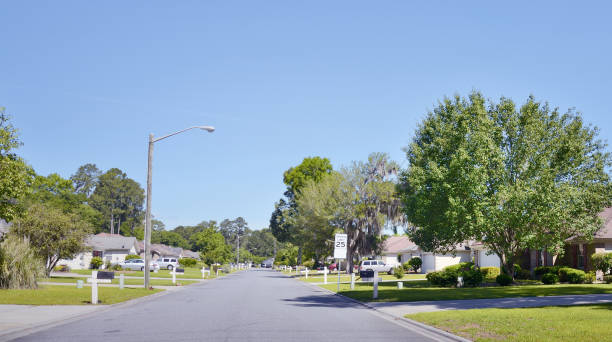 istock Savannah Neighborhood. 1413450868