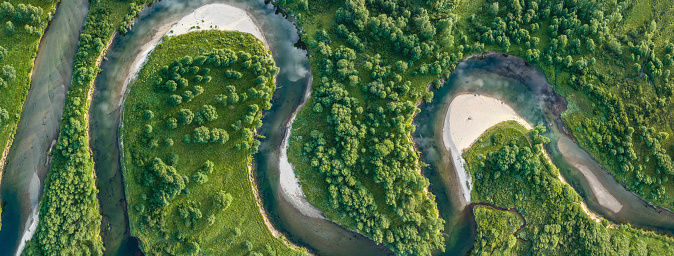 Top view of green algae on river in spring, Poland
