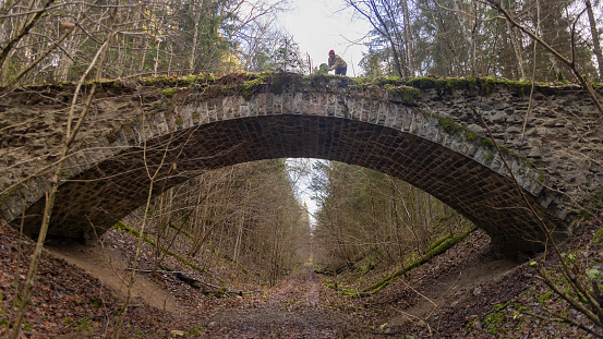 Big old bridge in the gloomy forest in autumn.