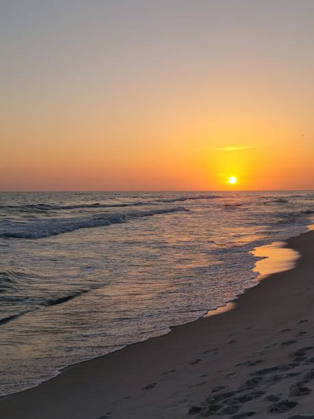 istock Panama City Beach, Florida 1413462020