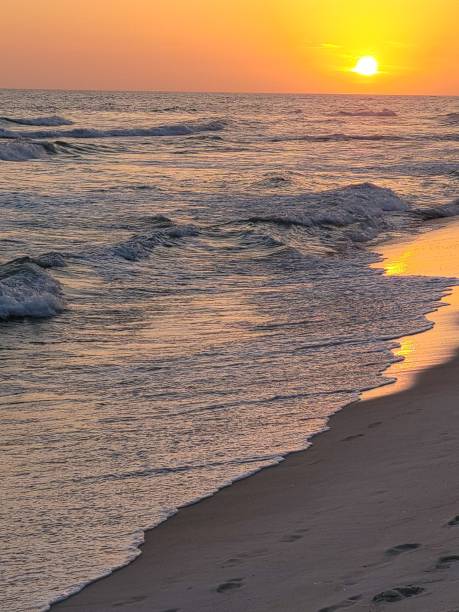 istock Panama City Beach, Florida 1413462021