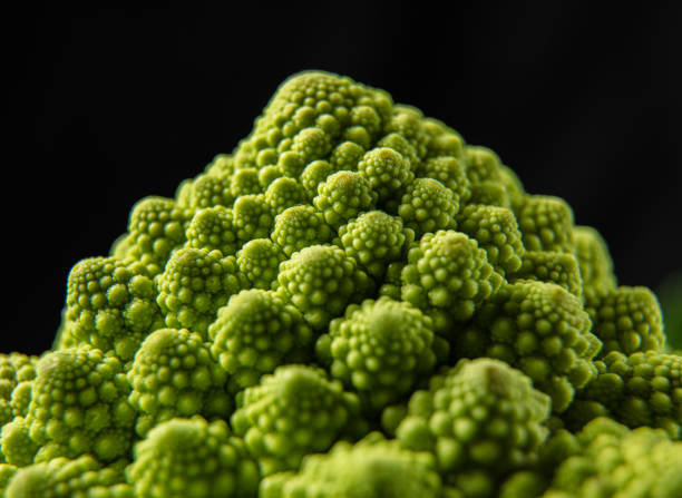 istock Romanesco broccoli head on a dark stone surface, cabbage, close up, fibonacci sequence 1413464651