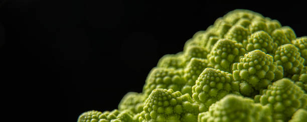 istock Romanesco broccoli head on a dark stone surface, cabbage, close up, fibonacci sequence 1413464670