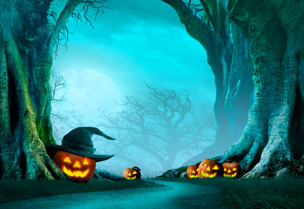 Several jack o'lanterns line a curving dirt path that is framed by gnarled bare trees in a spooky forest on Halloween night.