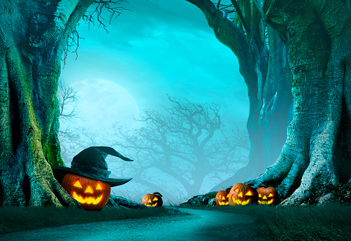 Jack O'Lanterns Line A Dirt Path In A Spooky Forest