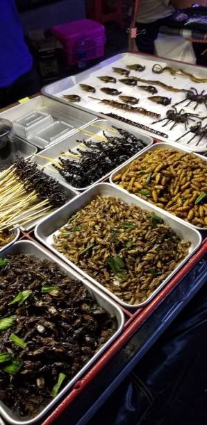 istock Food cart selling bugs and spiders 1413467096