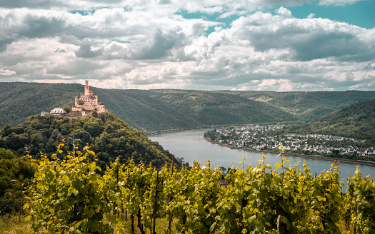 View of the Marksburg and the Rhine Valley nature landscape
