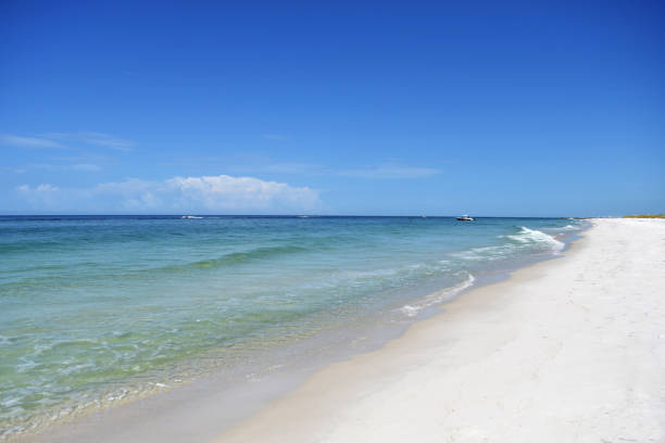 istock Sunny day on Florida Beach 1413469645