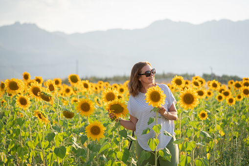 Cute woman with sunglasses on the field of sunflowers