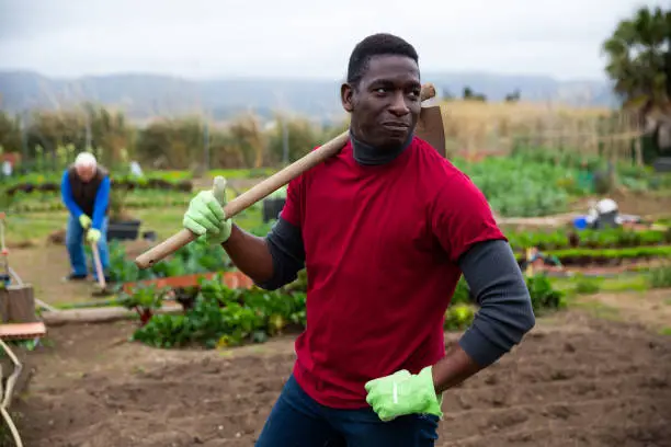 Photo of Smiling African gardener with hoe