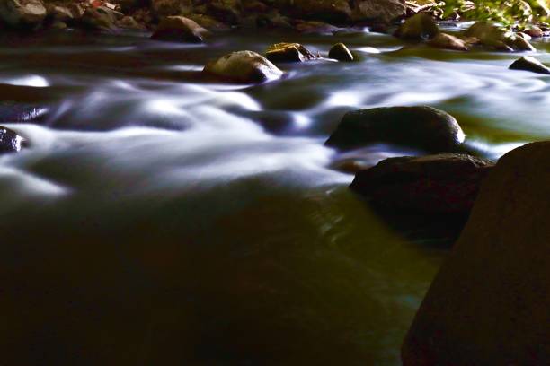 Gentle water glides through the nature park