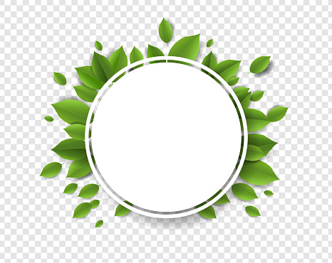 Green Leaves With White Ball Banner Transparent Background