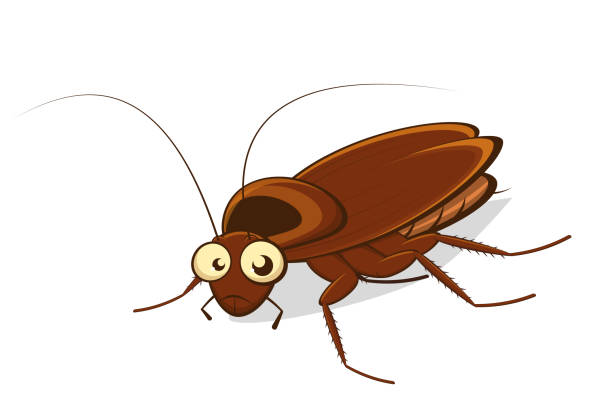 Divertente illustrazione del fumetto di uno scarafaggio - illustrazione arte vettoriale