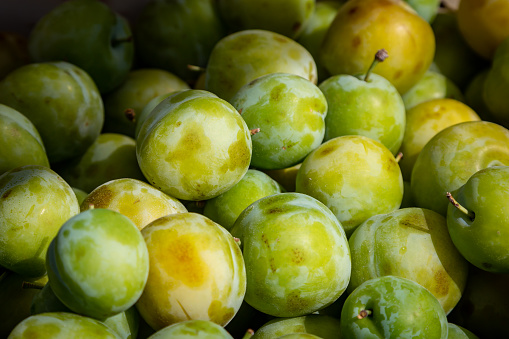 Greengages for sale on a market stall, with a shallow depth of field
