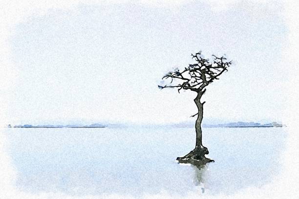Milarrochy Bay lone tree in Loch Lomond Scotland UK
