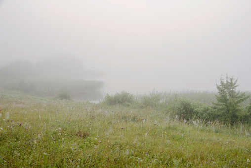 Serene landscape in the fog - the shores of Lake Otolovo in Belarus