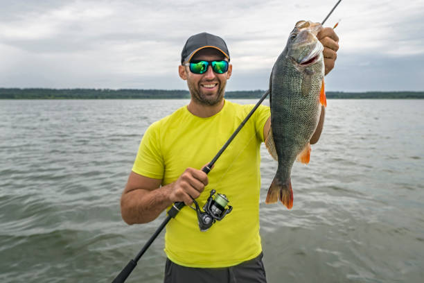 istock Perch fishing. Fisherman with spinning tackle hold big perch fish 1413483287