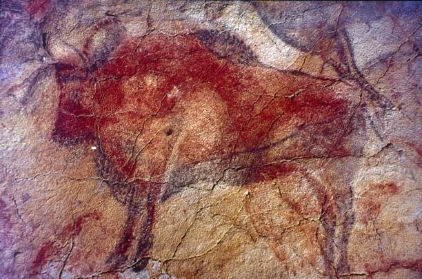 Prehistoric Drawings