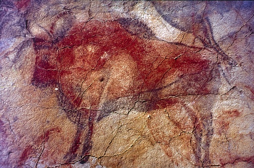 Altamira Cave, Spain, 1968. Aurochs image on a rock face in Altamira Cave.