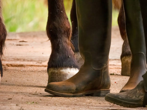istock Dirty riding boots and horse hooves. 1413483968