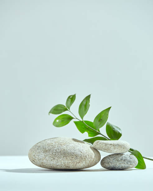 istock Stones pedestal, green leaves for eco friendly spa cosmetics demonstration. Empty podium for natural cosmetic product 1413484021