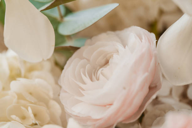 istock Beautiful flowers close-up 1413489184