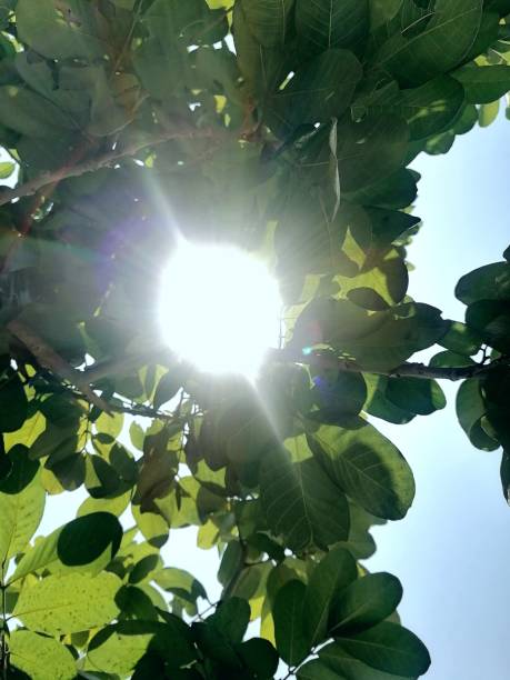 istock Beauty of nature and man-made 1413490086