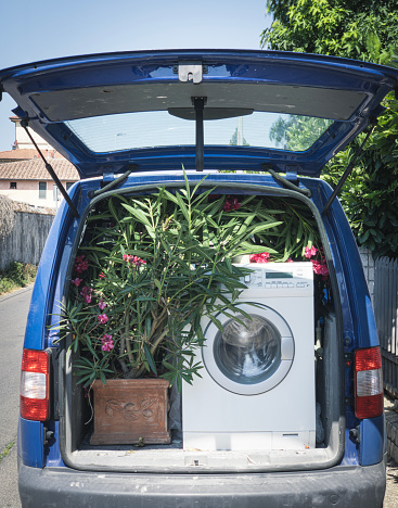 One large potted plant sits by a large washing machine in a small van