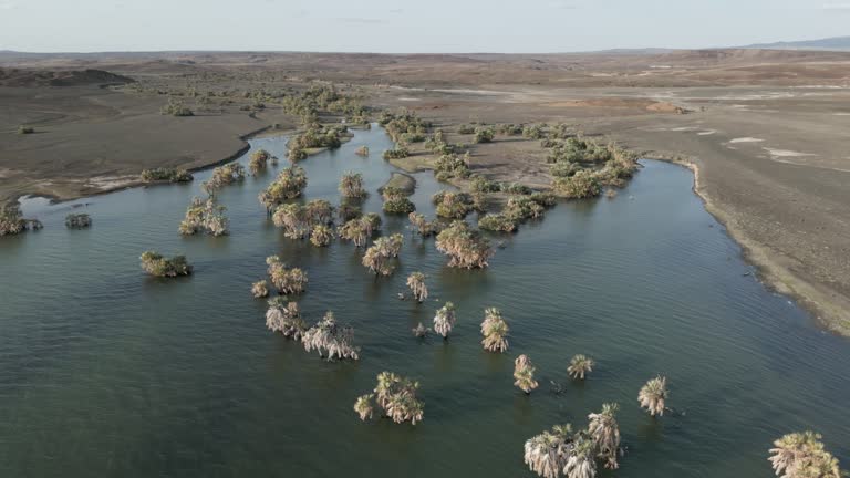 20+ Lago Turkana Film Video e Filmati Stock RoyaltyFree in 4K e HD