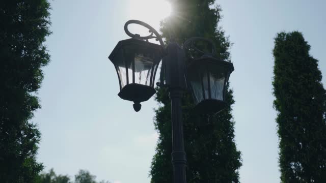 Shooting in the park of beautiful tui and a lantern in front of them. Shooting through the sun's rays in motion