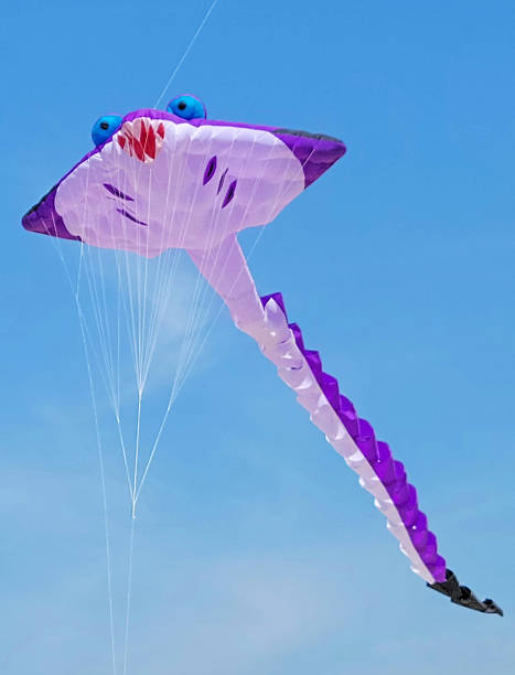 istock Pink and Purple Stingray Kite 1413491152