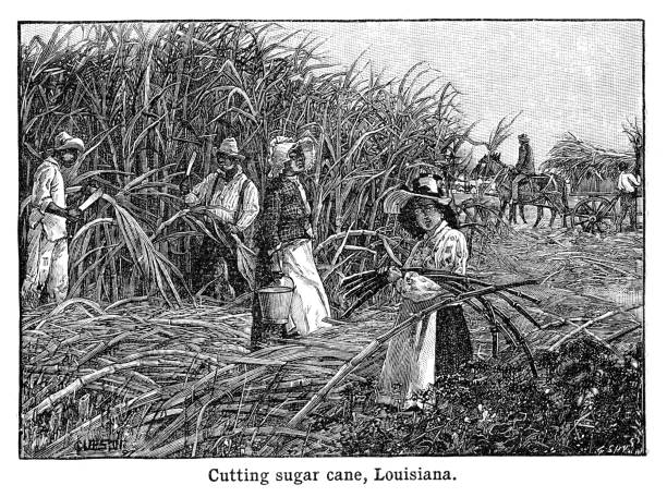 Engraving black and white - Advance Geography Redway and Hinman - Ohio Ed 1898