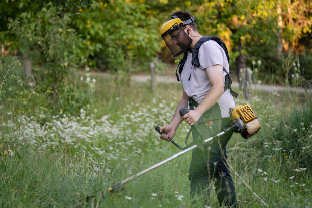 istock caucasian man farmer using string trimmer to cut grass brush cutter 1413495442