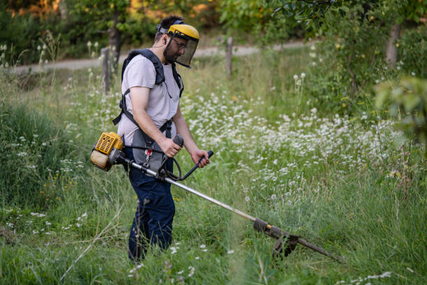 istock caucasian man farmer using string trimmer to cut grass brush cutter 1413495525