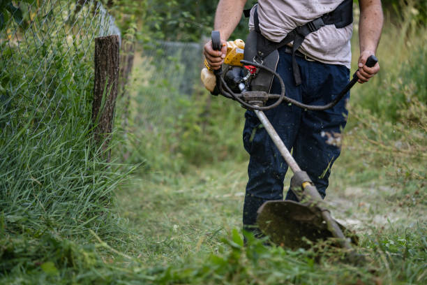 homem caucasiano agricultor usando aparador de cordas para cortar cortador de grama - podador - fotografias e filmes do acervo