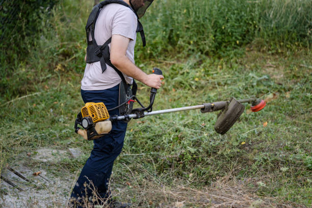 istock caucasian man farmer using string trimmer to cut grass brush cutter 1413495535