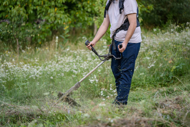 istock caucasian man farmer using string trimmer to cut grass brush cutter 1413495541