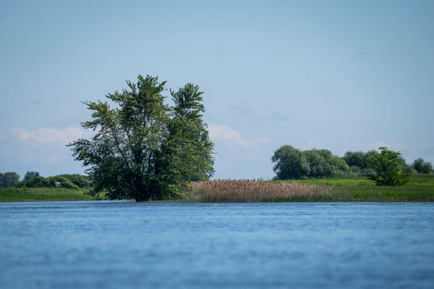 istock Freshwater shores along the St. Lawrence River in summertime 1413496151