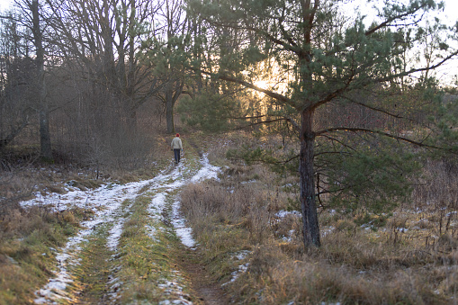 Mature woman is hiking in the forest in late fall, walking away on the country road.